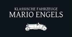 User logo