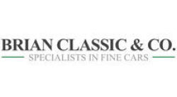 User logo