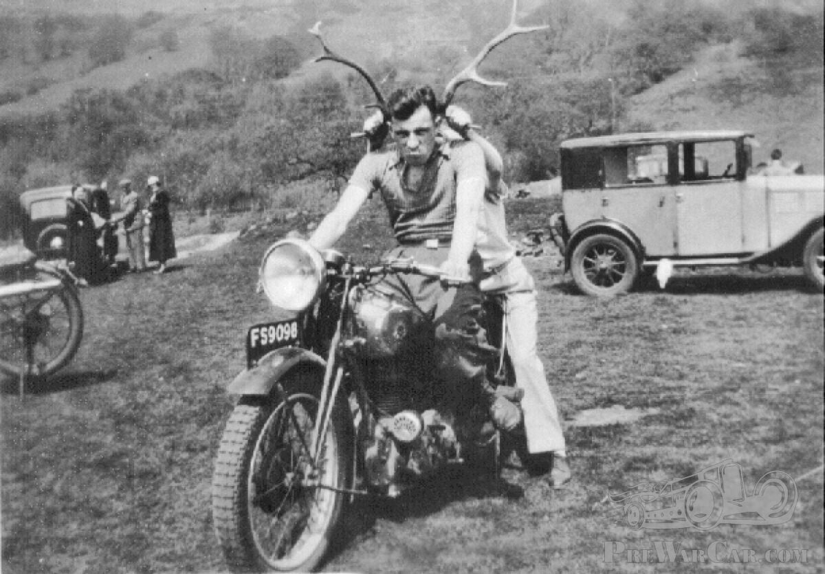 St Teilo Riding Stag