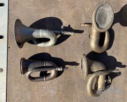 horns