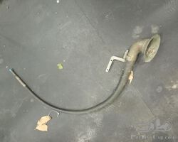 Boa Constrictor Horn.
