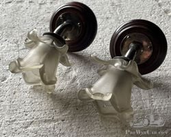 Interior lights lalique