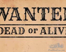 Wanted: 4 Seat Saloon or Tourer Body