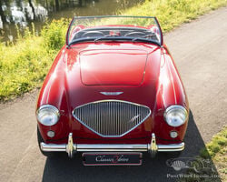 Multiple Concours Winner: Stunning Austin Healey 100-4/BN2 from 1955