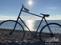 1895 GLADIATOR DE ROUTE (ORIGINAL HEAD TRANSFER)