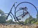 1887 HUMBER CRIPPER TRICYCLE