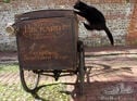 1910s Alldays ‘Standard’ Carrier Tricycle