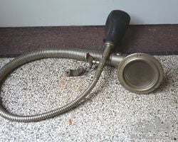 Boa Constrictor horn