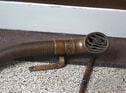 Boa Constrictor horn
