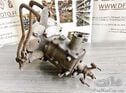 CHAIGNEAU BRASIER Gearbox