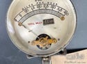 Gratze Patent 'Jones' Speedo