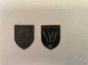Scintilla logo shield for horn