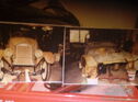 wanted 1923 Peugeot 163 br worm drive differential and torque tube