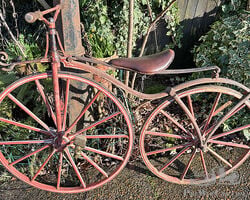 1867 MICHAUX SERPENTINE JUVENILE VELOCIPEDE