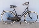 Cicli LEA viaggio Signora