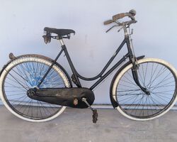 Cicli LEA viaggio Signora