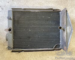 Delage D8 Radiator with mesh grill and surround