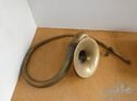 Boa Constrictor Horn