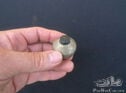 Bosch - like type of Push / ON Switch