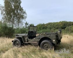 Zoek cyclecar of iets zoals austin 7